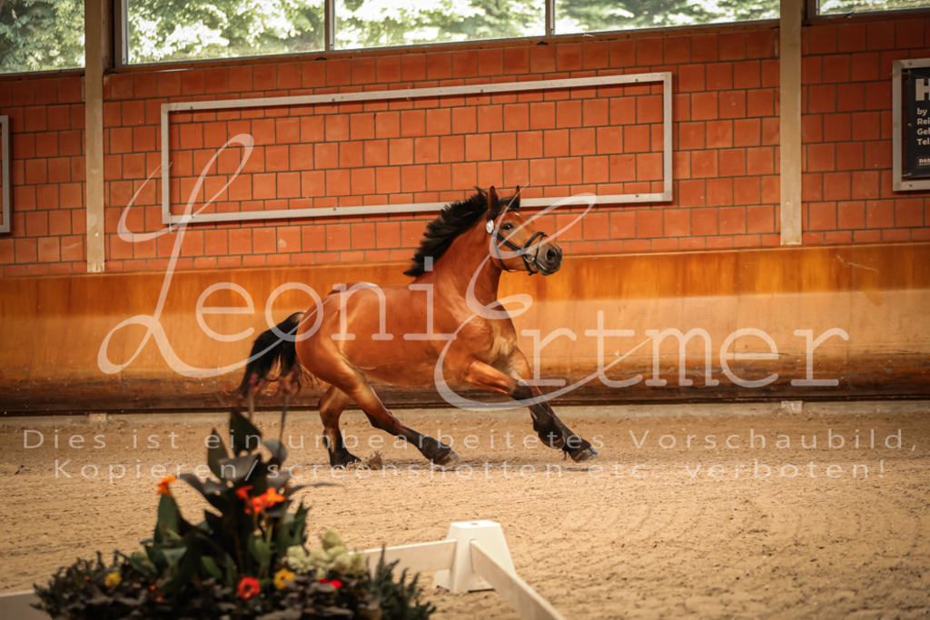 SaFL00017 | Leoni Ertmer Photography - Realisiert mit Pictrs.com