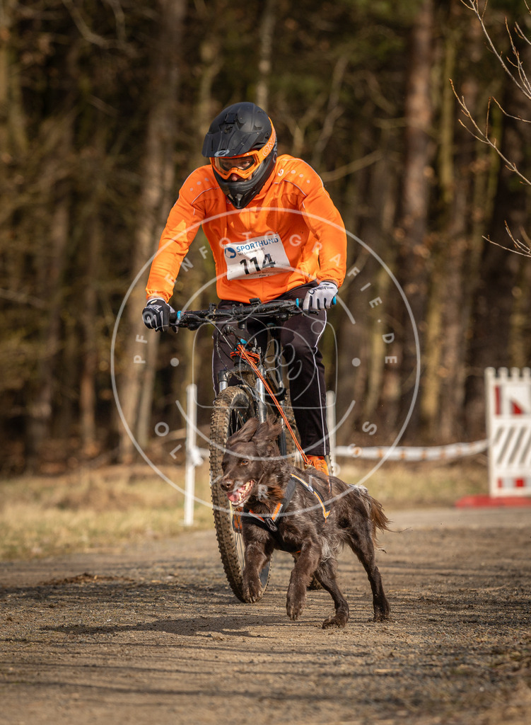 DV3A4460 | Hundefotografie, Tierfotograf, Pfotenfotografie, Fotoshooting Hund, Hunde Portrait, Hundesport, Hundeportraits, Heideshooting, Hunde, Sportfotograf, Hundefotograf, Turnierhundsport, THS,  - Realisiert mit Pictrs.com