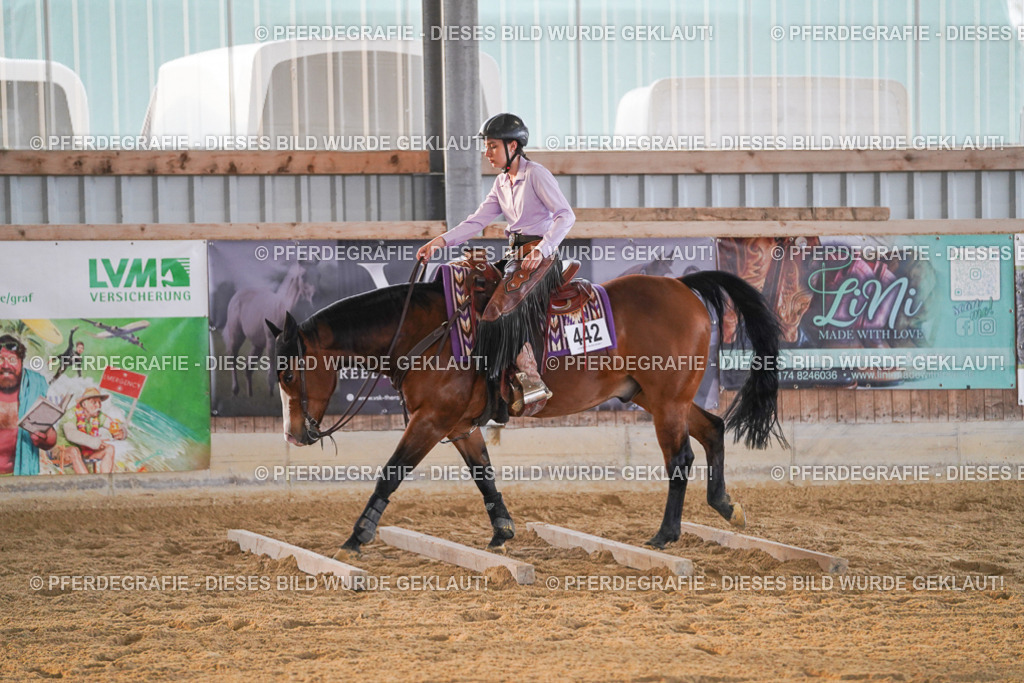 DSC08785 | Pferdegrafie