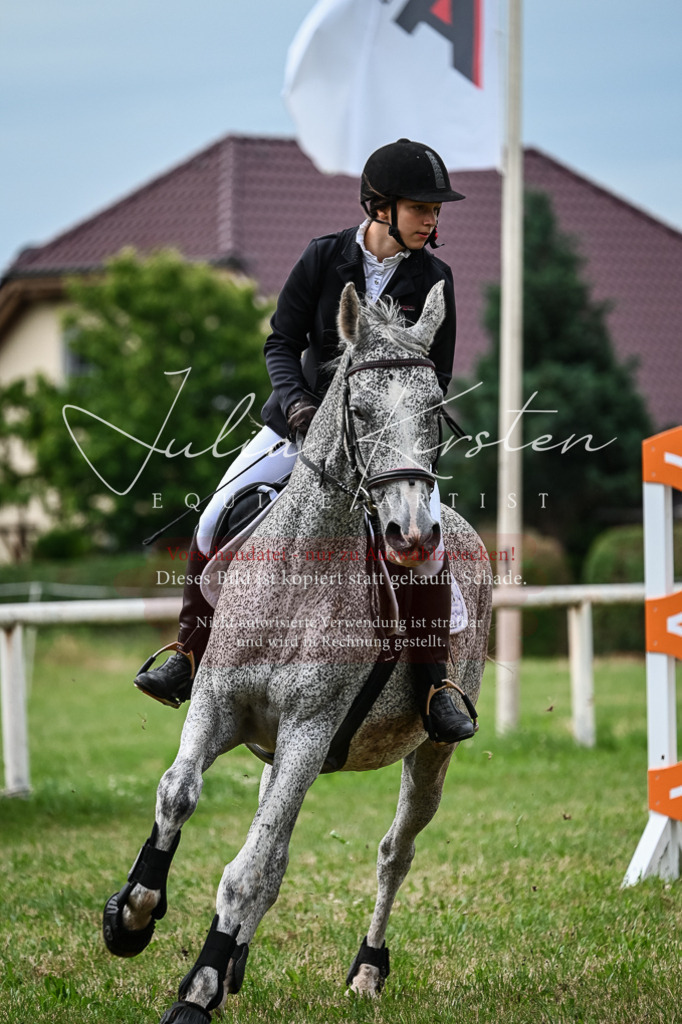 DSC_8340 | Pferde- und Turnierfotografie in Westsachsen. Pferdeportraits, Auftragszeichnungen und intuitive Kunst.
