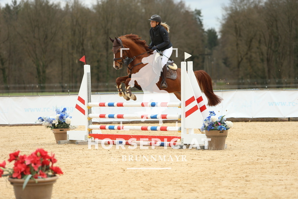 DL2Q2108 | Willkommen bei Brunnmayr - Design & Fotografie – Ihrem Spezialisten für Reitturniere und Pferdeveranstaltungen in Oberösterreich, Salzburg und Bayern! Seit über 17 Jahren sind wir leidenschaftlich dabei.