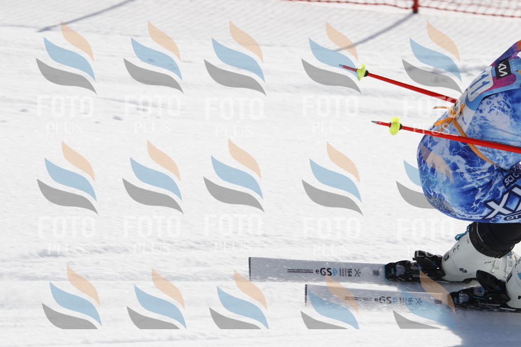 _U3G0528 | holidayphoto