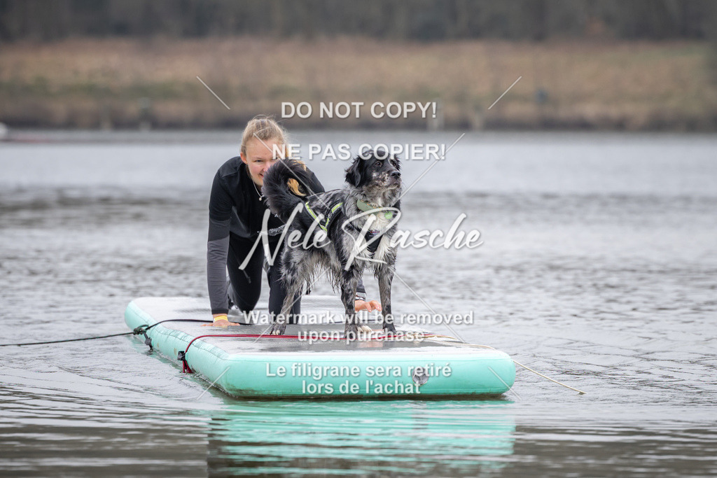 nelerasche_Hulsbeek_Sa1330-1430_616 | nelerasche