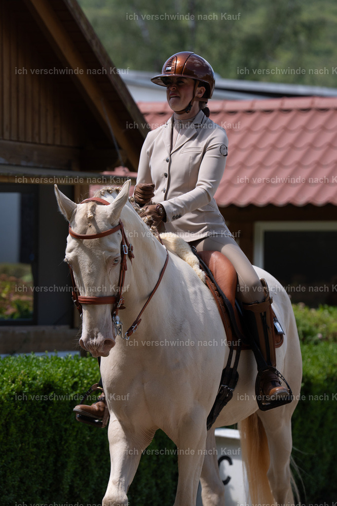 WS_DR_69_sinafilmart_IN02484 | working equitationturnier fotograf videograf stoibphotography marixx film working equitation deutschland reitsport turnierfotografie eventfotografie equestrian events