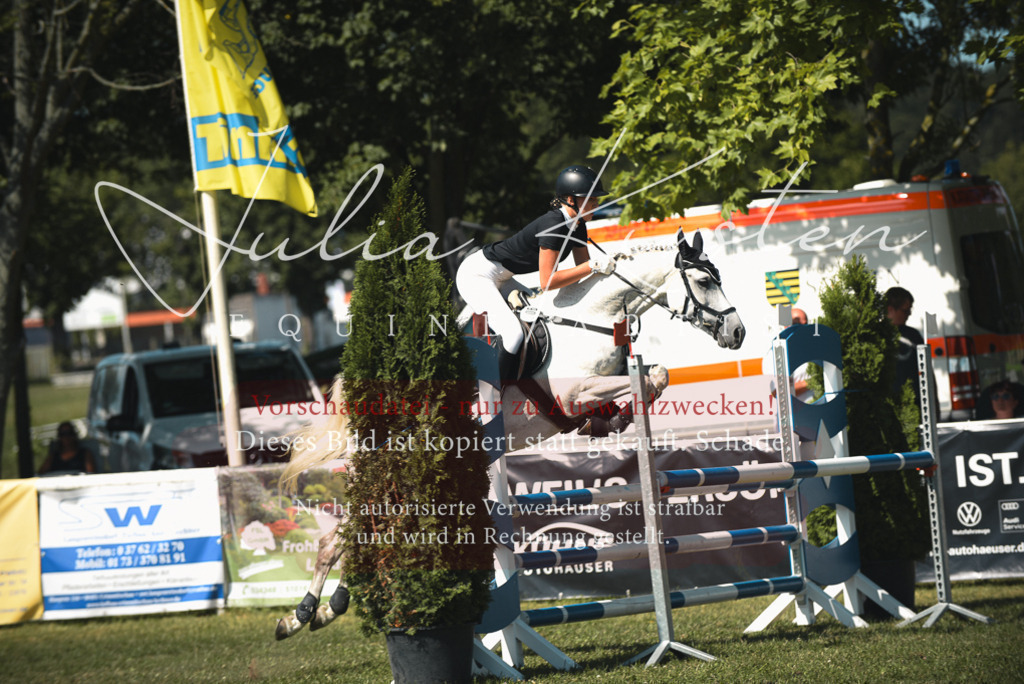 DSC_6883 | Pferde- und Turnierfotografie in Westsachsen. Pferdeportraits, Auftragszeichnungen und intuitive Kunst.