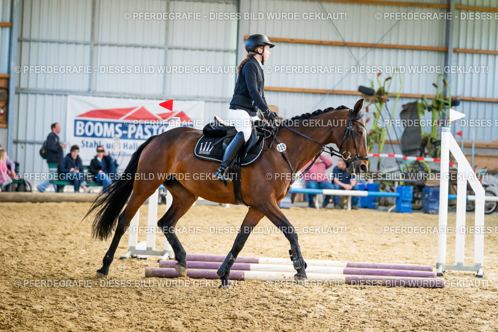 DSC01745 | Pferdegrafie