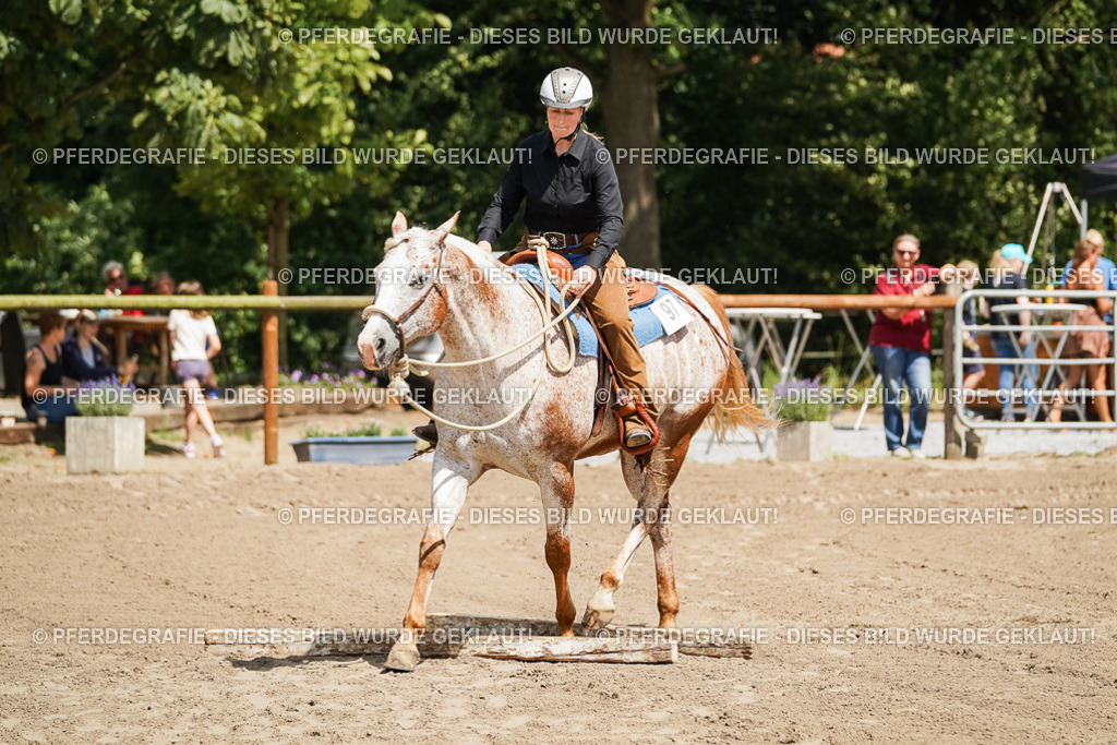 DSC06356 | Pferdegrafie