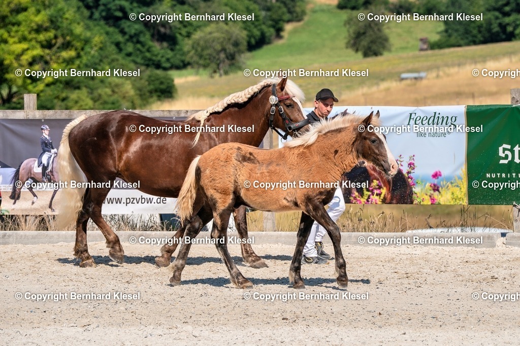 2A906799 | foto-team-bernhard - Realisiert mit Pictrs.com