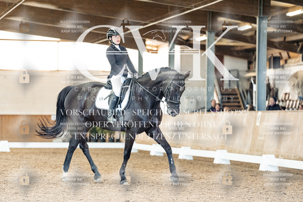 CK909466 | Turnierfotografie Pferdefotografie Trier Rheinland-Pfalz Pferdesport Reitsport Tierfotografie Sportfotografie Pferdevideo Pferdevideografie Equestrianvideography equestrianphotography  - Realized with Pictrs.com