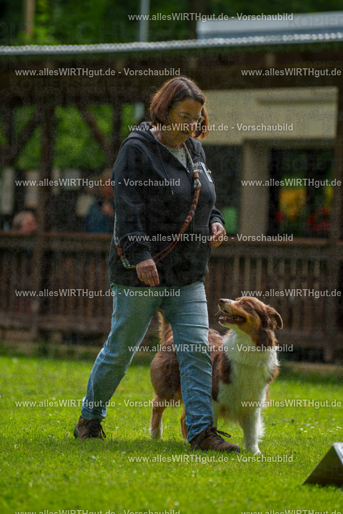 @allesWIRTHgut_Tierfotografie - www.allesWIRTHgut.de - 094633-7R507605 | Professionelle Tierfotografie in Mönchengladbach von Daniel Wirth (allesWIRTHgut). Liebevolle & natürliche Bilder von Hunden & Katzen für unvergessliche Erinnerungen.