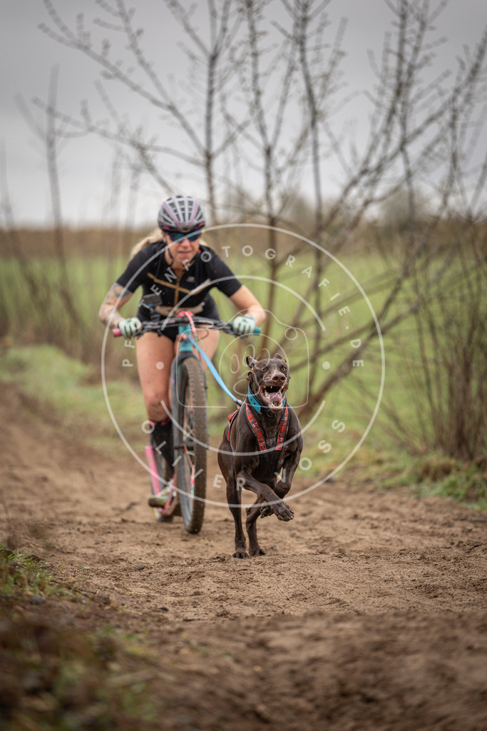 DV3A9167 | Hundefotografie, Tierfotograf, Pfotenfotografie, Fotoshooting Hund, Hunde Portrait, Hundesport, Hundeportraits, Heideshooting, Hunde, Sportfotograf, Hundefotograf, Turnierhundsport, THS,  - Realisiert mit Pictrs.com