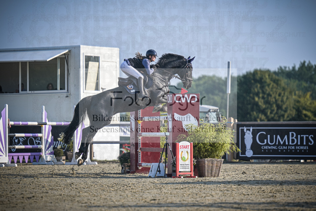 DOS_1474 | Entdecke hochwertige Reitturnierfotos von Foto Oger. Professionell, emotional und authentisch – jetzt Lieblingsmomente im Shop bestellen.Deutschlandweite Turnierfotografie. - Realisiert mit Pictrs.com