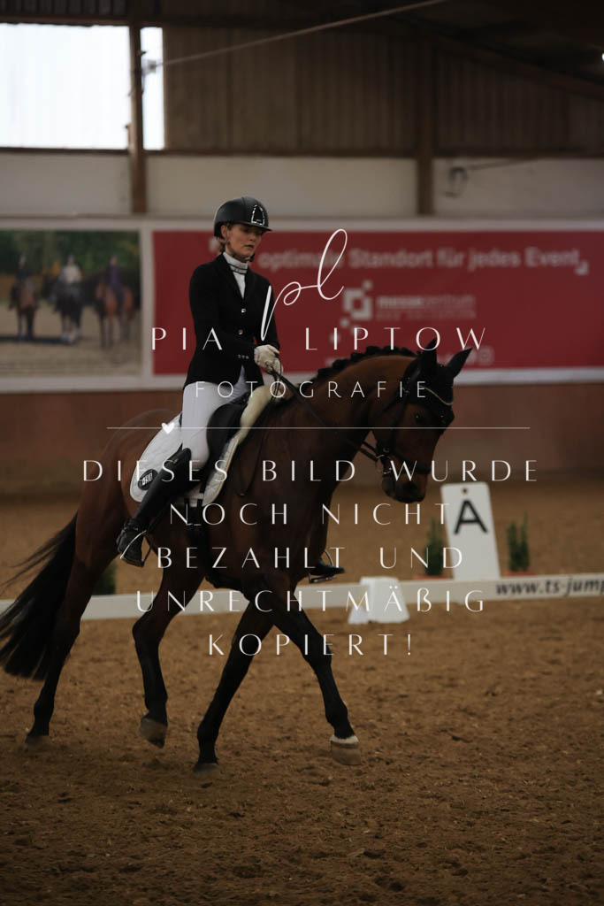 IMGT9589 | pl-fotografie