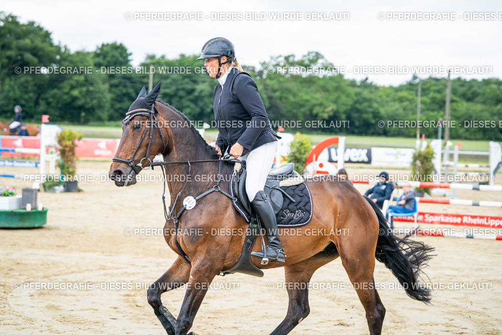 DSC04184 | Pferdegrafie