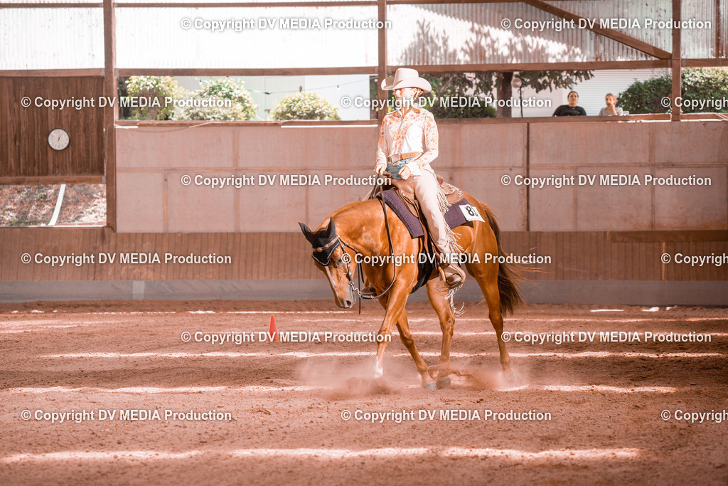 NE300631 | dv-media-shop - Realisiert mit Pictrs.com