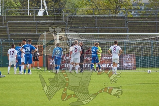 BFC Dynamo vs. VSG Altglienicke 147 | mythos-online-redaktion