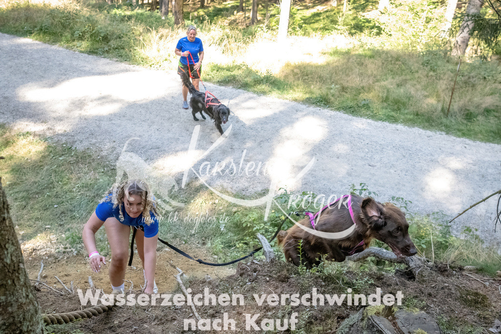1216_ZZ93787 | kk-dogfotos