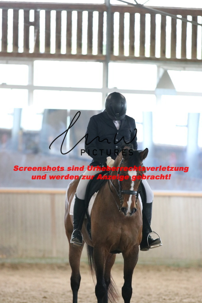 IMG_9817 | lmwpictures - Realisiert mit Pictrs.com