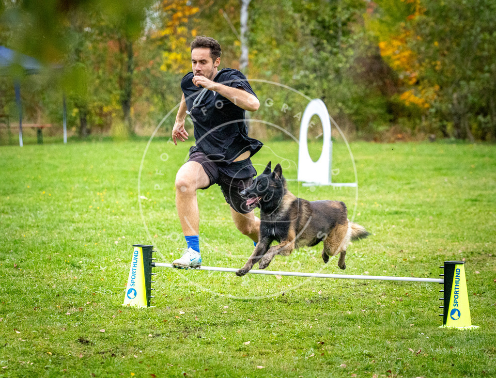 Pfotenfotografie_DV3A1402 | Hundefotografie, Tierfotograf, Pfotenfotografie, Fotoshooting Hund, Hunde Portrait, Hundesport, Hundeportraits, Heideshooting, Hunde, Sportfotograf, Hundefotograf, Turnierhundsport, THS,  - Realisiert mit Pictrs.com