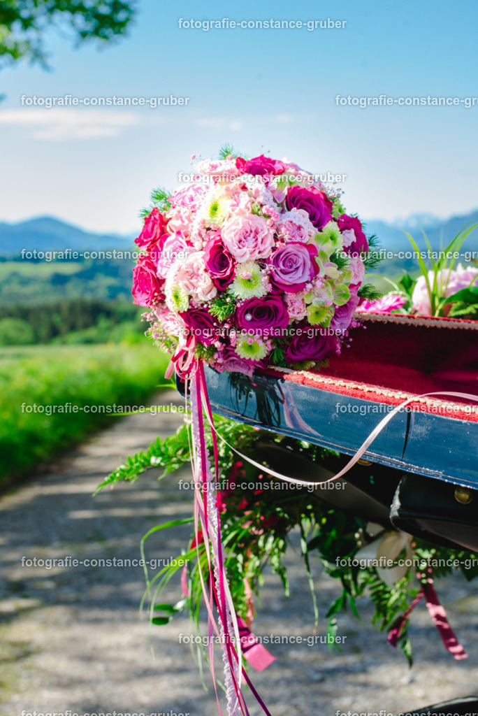 1007 | Fotografie Constance Gruber - Realisiert mit Pictrs.com