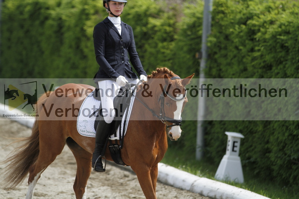 _MG_8789 | equestrian-live-com
