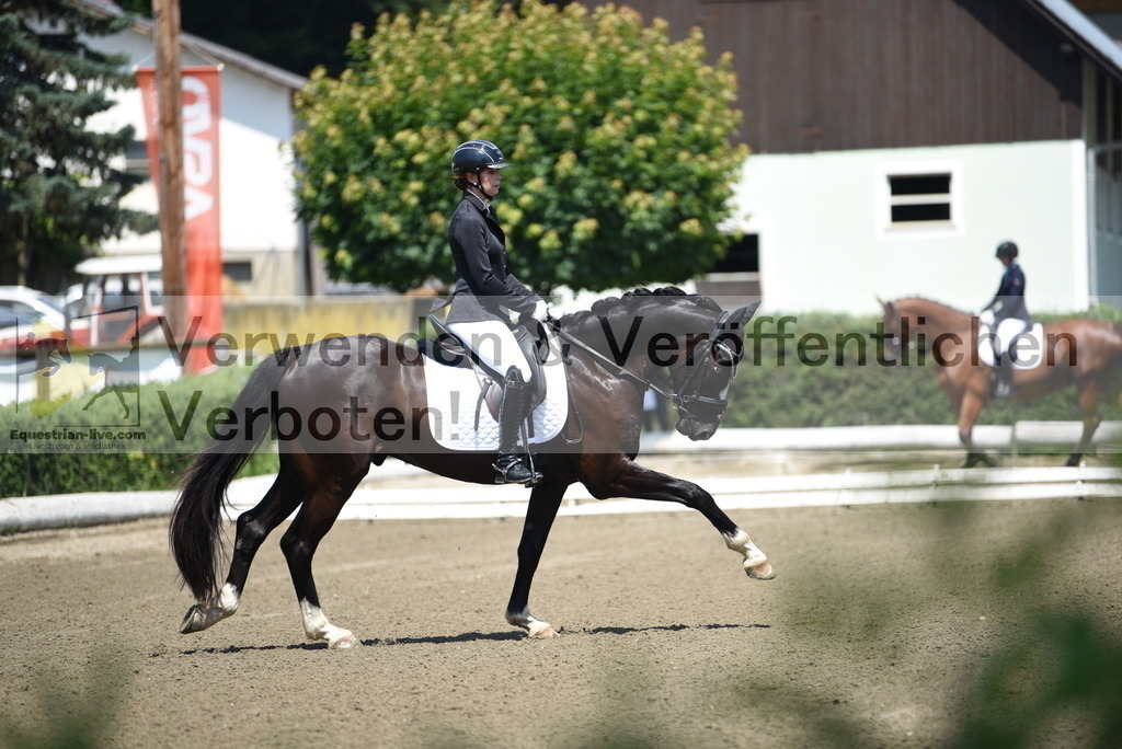DSC_1236 | equestrian-live-com