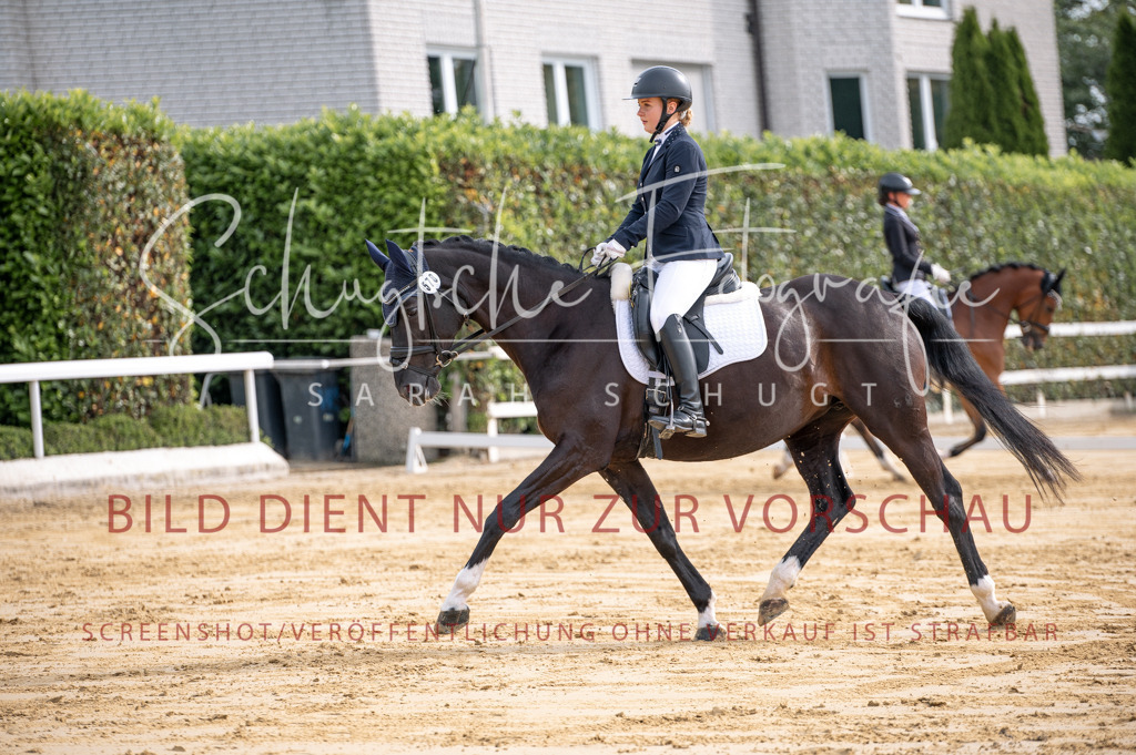 Schugtsche-Aluta25-40.DressurprfA_-139 | Schugtsche Fotografie - Realisiert mit Pictrs.com