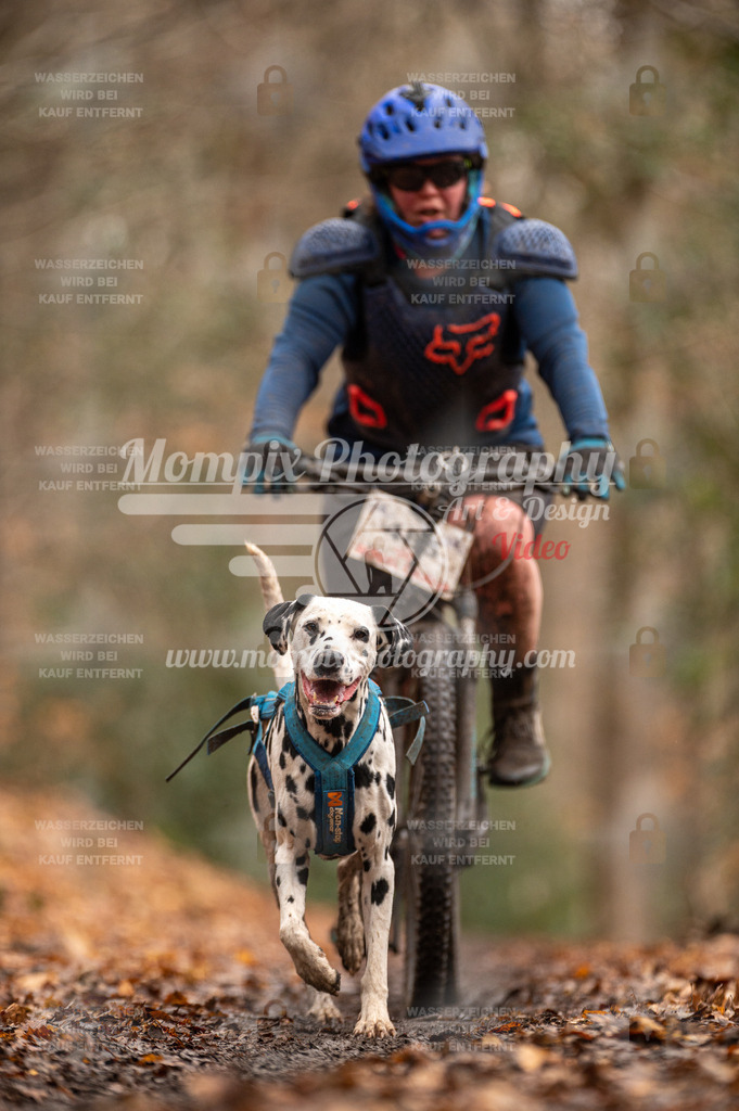 SPA_2023_DIM_Bike-95 | PayLife