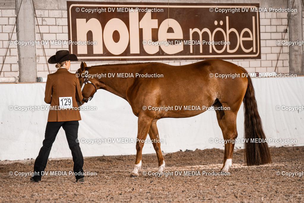 ZH200007 | dv-media-shop - Realisiert mit Pictrs.com