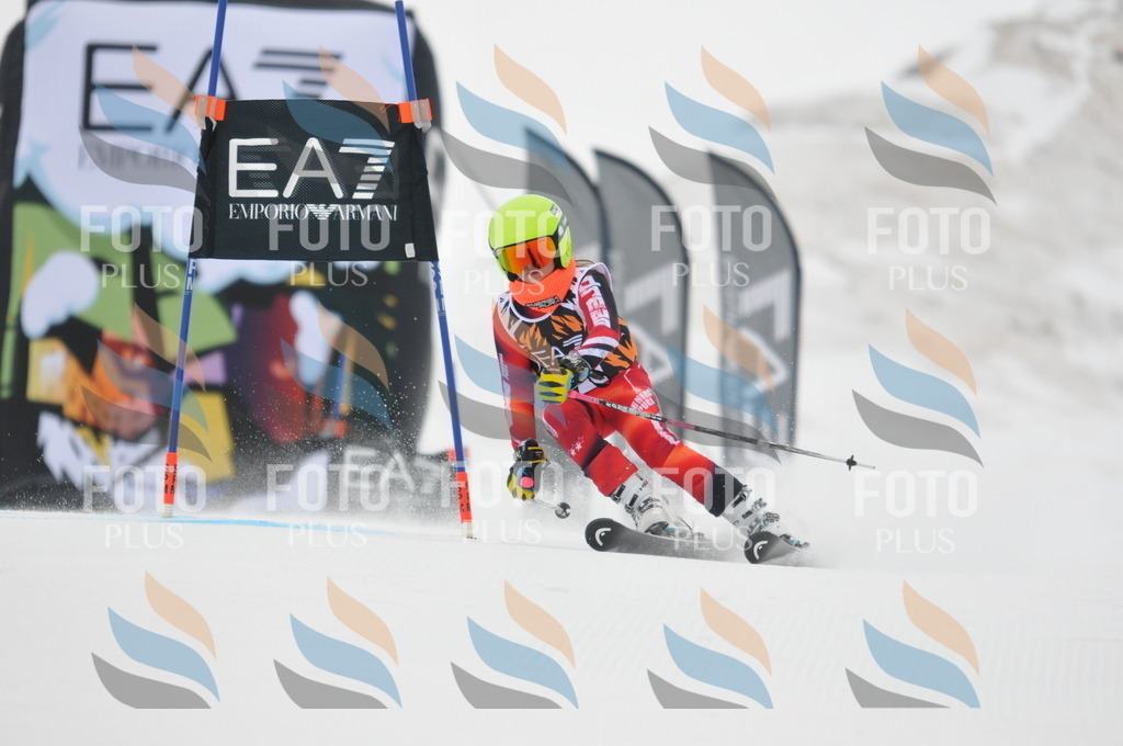 DSC_7325 | holidayphoto