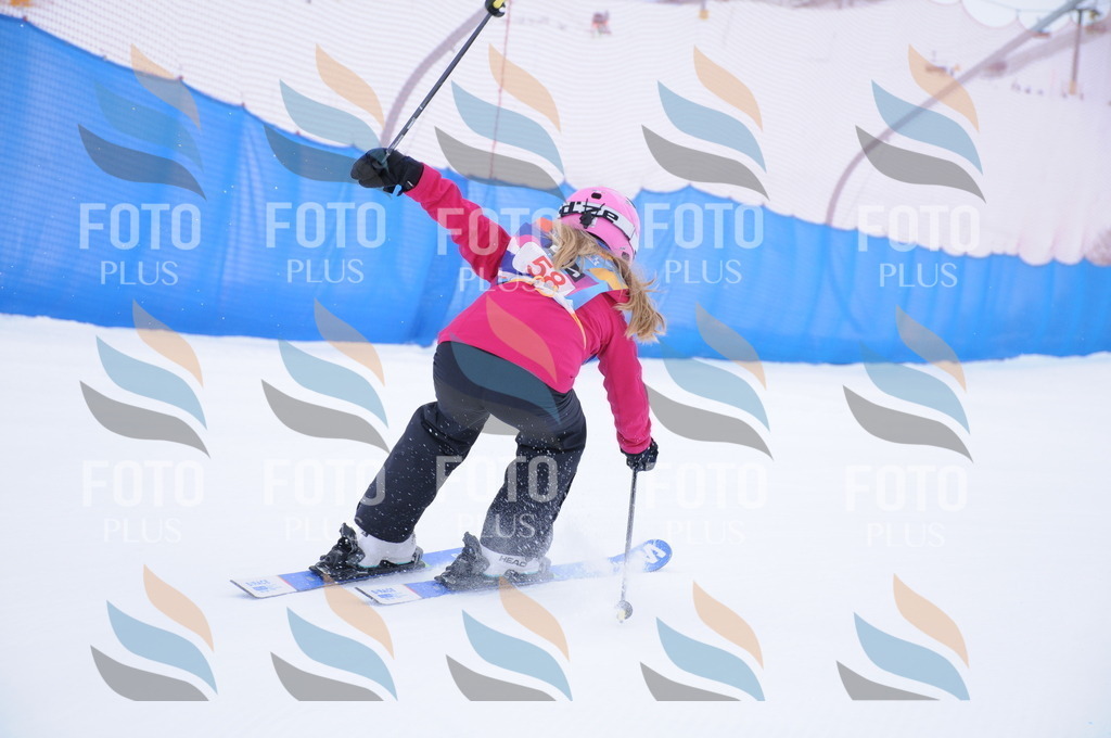 DSC_7983 | holidayphoto