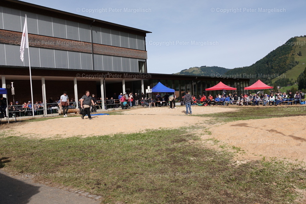 DSC00072 | Schwingen - Realisiert mit Pictrs.com