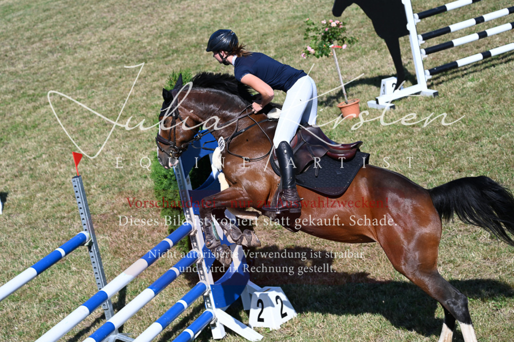 DSC_2022 | Pferde- und Turnierfotografie in Westsachsen. Pferdeportraits, Auftragszeichnungen und intuitive Kunst.