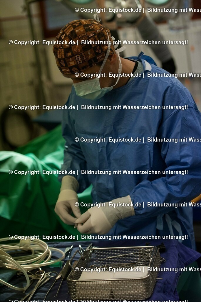 20160315_Arthroskopie_0022 | equistock