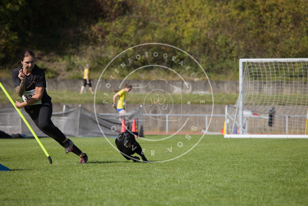 0L8A7936 | Hundefotografie, Tierfotograf, Pfotenfotografie, Fotoshooting Hund, Hunde Portrait, Hundesport, Hundeportraits, Heideshooting, Hunde, Sportfotograf, Hundefotograf, Turnierhundsport, THS,  - Realisiert mit Pictrs.com