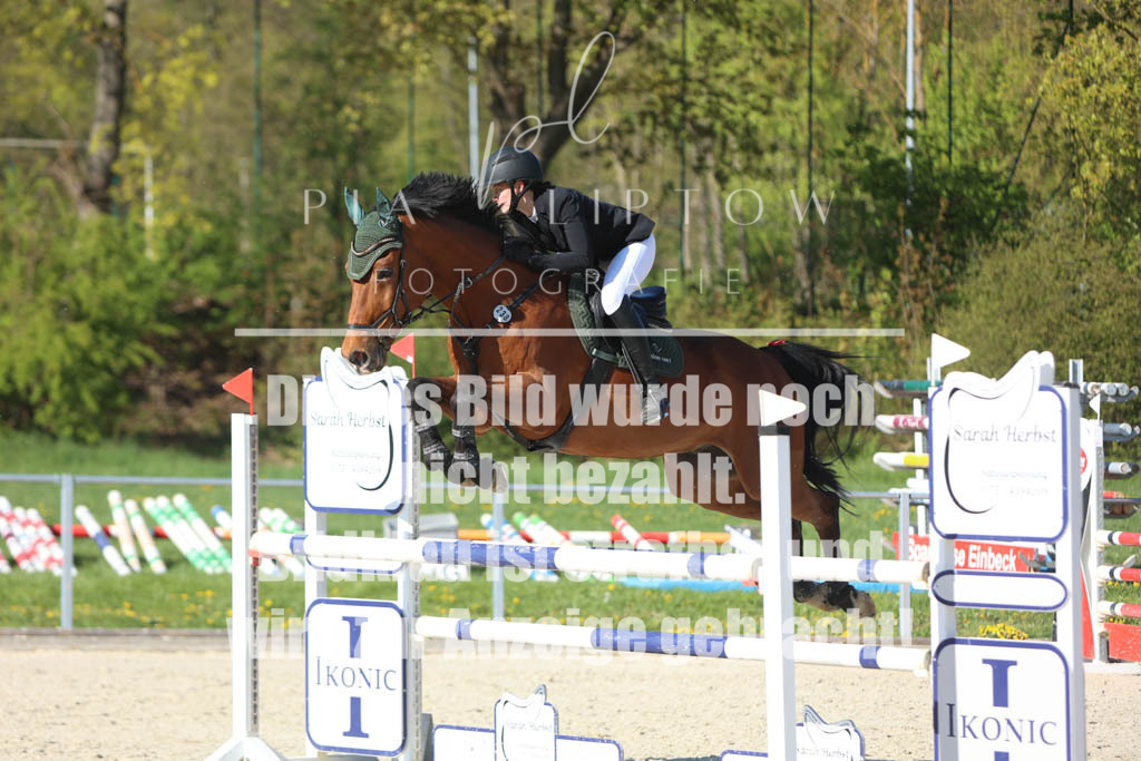 IMGM2723 | pl-fotografie