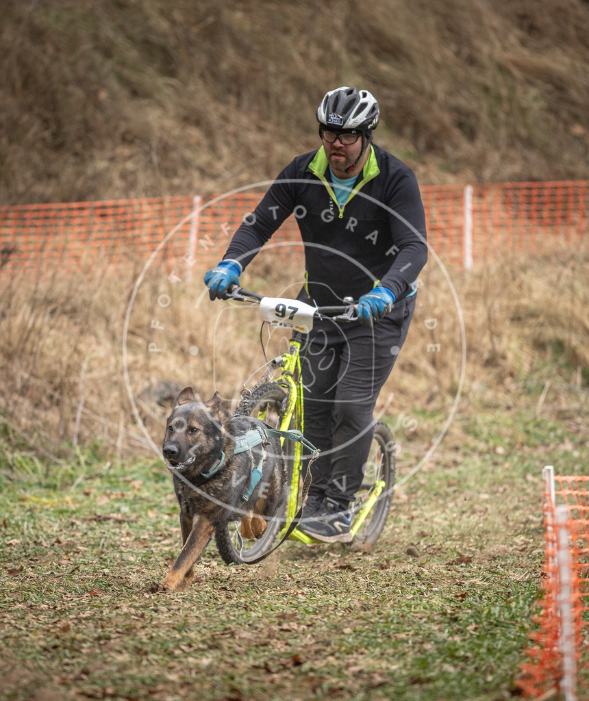 Pfotenfotografie_DV3A7123 | Hundefotografie, Tierfotograf, Pfotenfotografie, Fotoshooting Hund, Hunde Portrait, Hundesport, Hundeportraits, Heideshooting, Hunde, Sportfotograf, Hundefotograf, Turnierhundsport, THS,  - Realisiert mit Pictrs.com