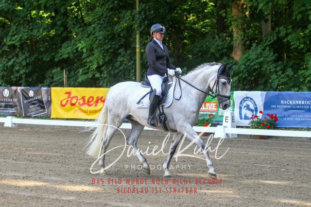 DKP42839 | Turniersportfotografie; Pferdefotografie; Dressurfotografie