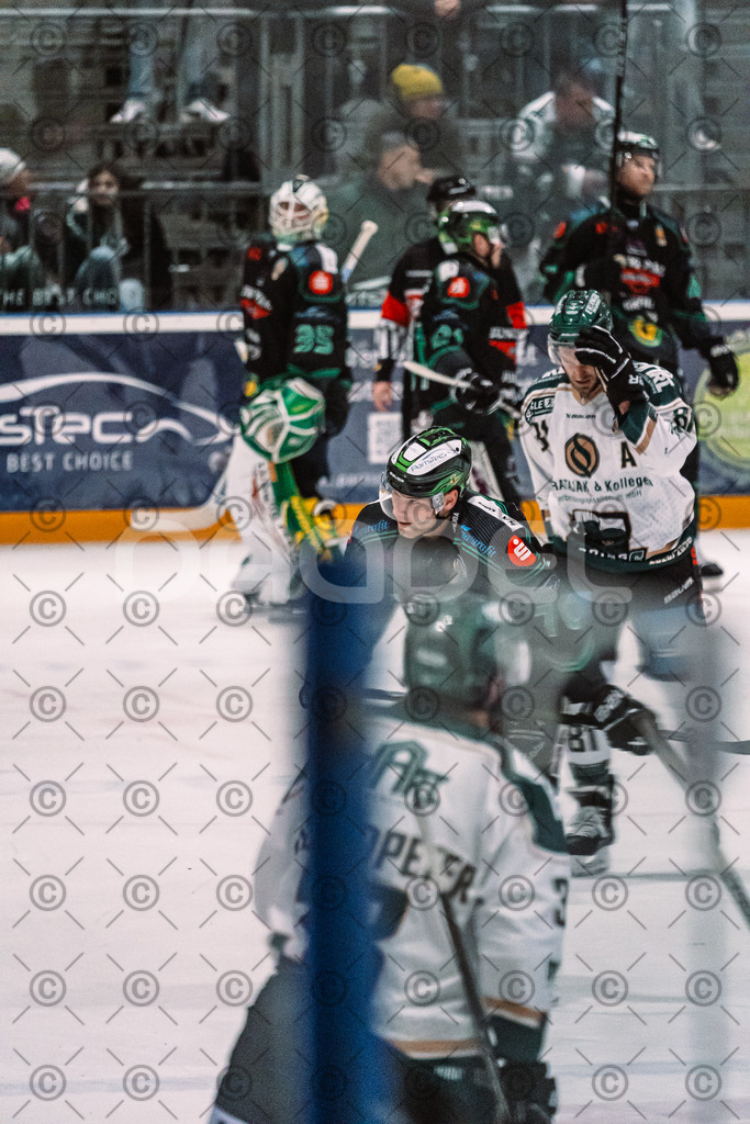 Alligators_vs_Erding_12_12_2025-195 | Höchstadt Alligators Fotogalerie: Eishockey-Action aus Franken. Professionelle Spielfotos, Portraits & Stadionbilder zum Download. Jetzt entdecken! - Realisiert mit Pictrs.com