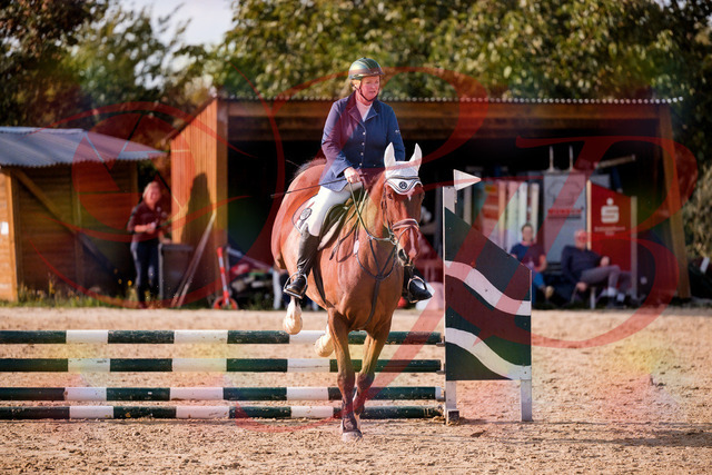 2026_10_03_Siefer-Hof_160638_Z81_88422908 | Professionelle Reitsport-, Turnier- und Eventfotografie von Robert Broda. Galerien mit ausgewählten und bearbeiteten Bildern direkt online ansehen und bestellen.