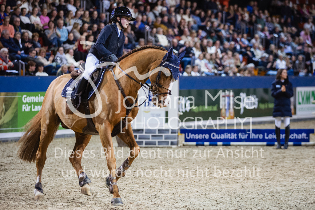 250108_Muenster_Hengstpräsentation-136 | Deine schönsten Turniermomente als professionelle Fotos! Entdecke hochwertige Pferdesport-Fotografie im Online-Shop. Jetzt Fotos finden & bestellen!