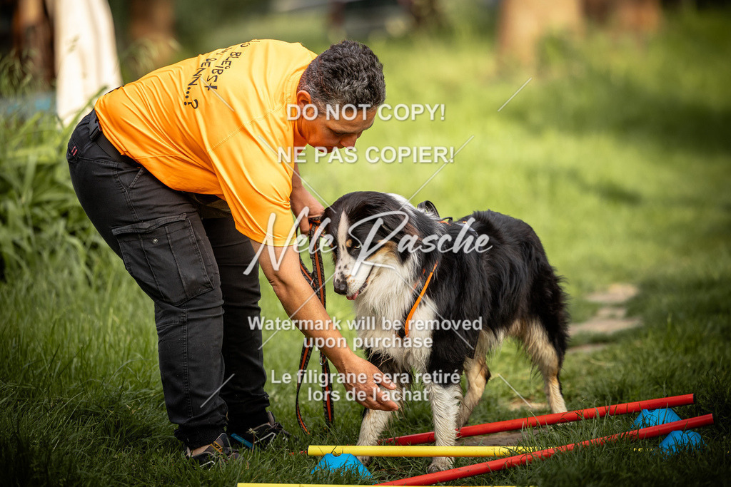 nelerasche_So-earlydog_73 | nelerasche