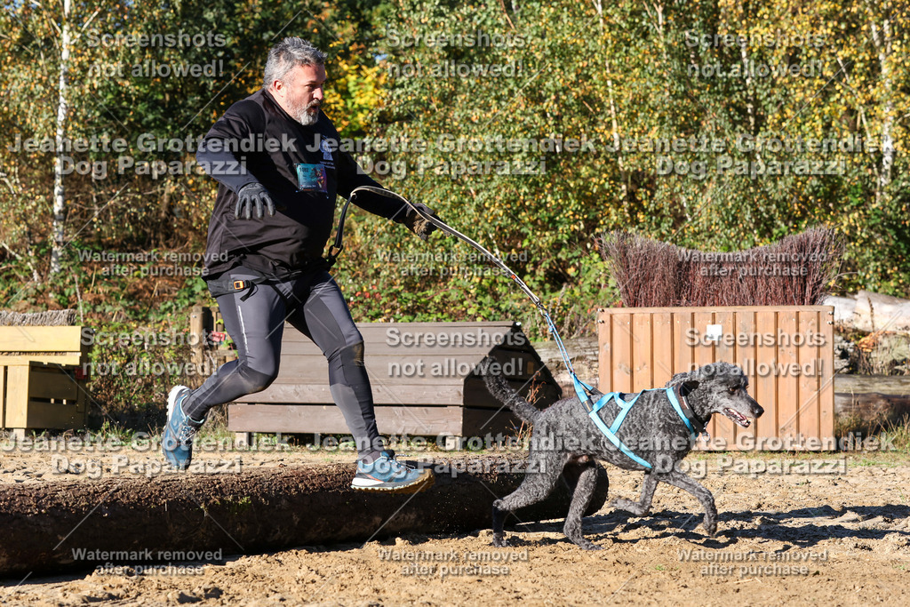 Dog Paparazzi - Strongdog 10-25-1712 | Dog Paparazzi Jeanette Grottendiek Fotografie & Videografie - Realisiert mit Pictrs.com