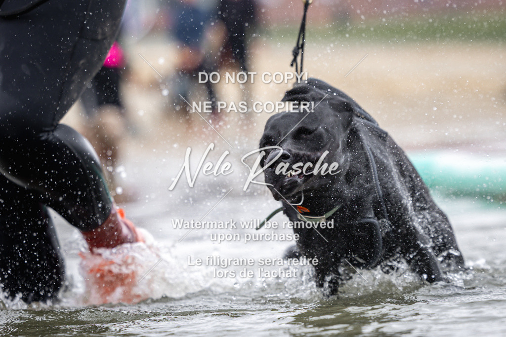 nelerasche_Hulsbeek_Sa1100-1130_326 | nelerasche