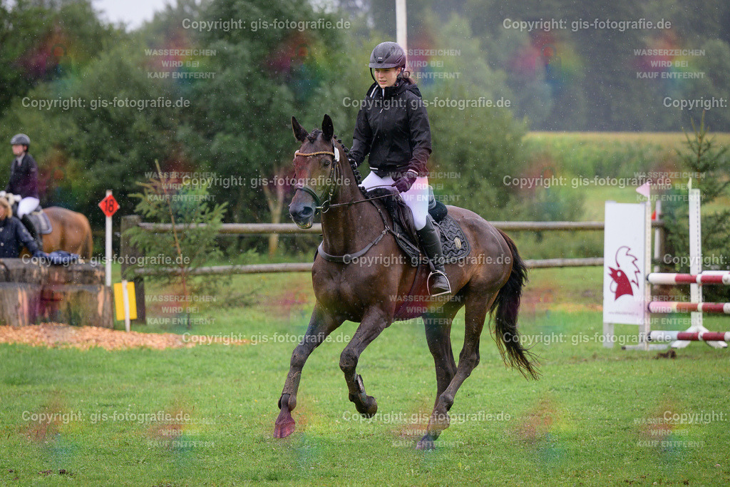 051_Müller_Emilia_Shelby-10_A1_Springen_250802_02 | gis-fotografie