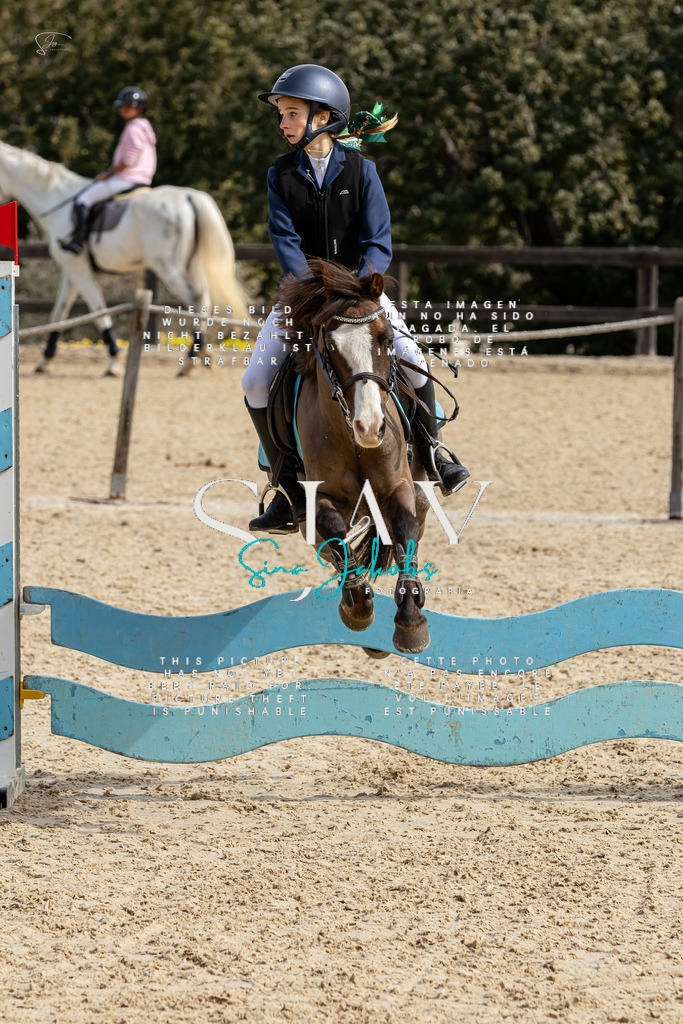 IMG_3395 | s-jay-photography - Realisiert mit Pictrs.com