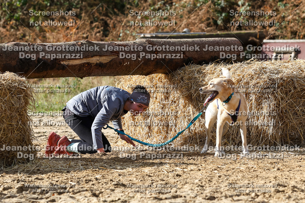 Dog Paparazzi - Strongdog 10-25-5362 | Dog Paparazzi Jeanette Grottendiek Fotografie & Videografie - Realisiert mit Pictrs.com