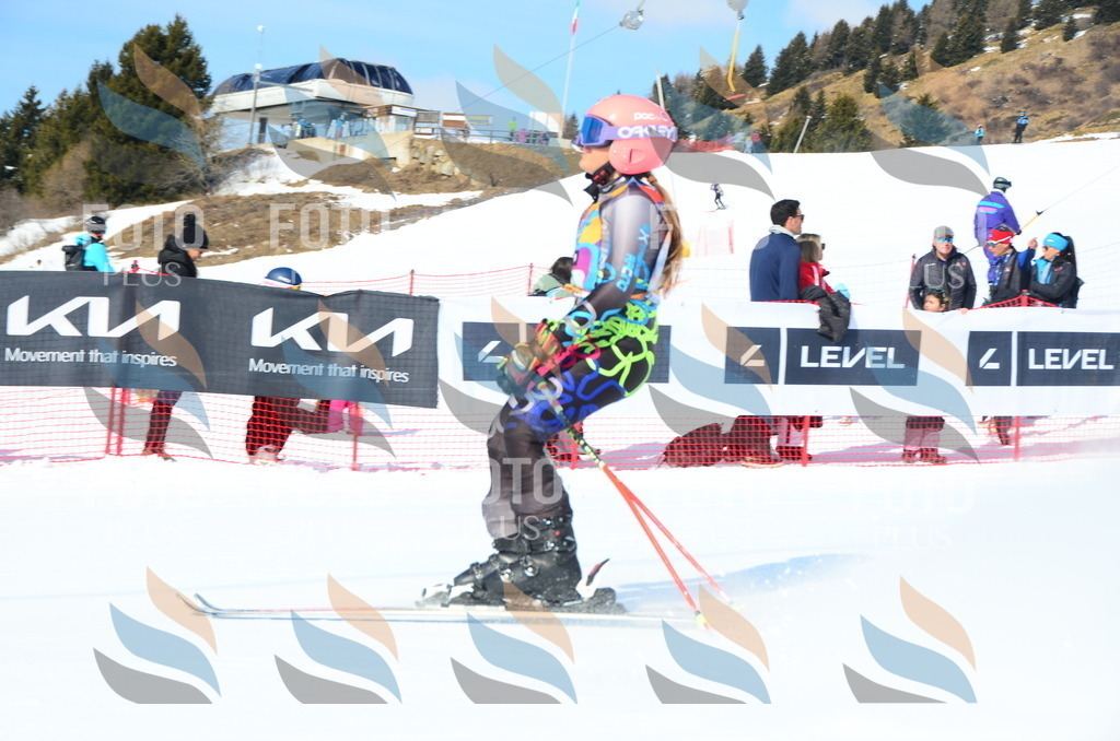 DSC_0398 | holidayphoto