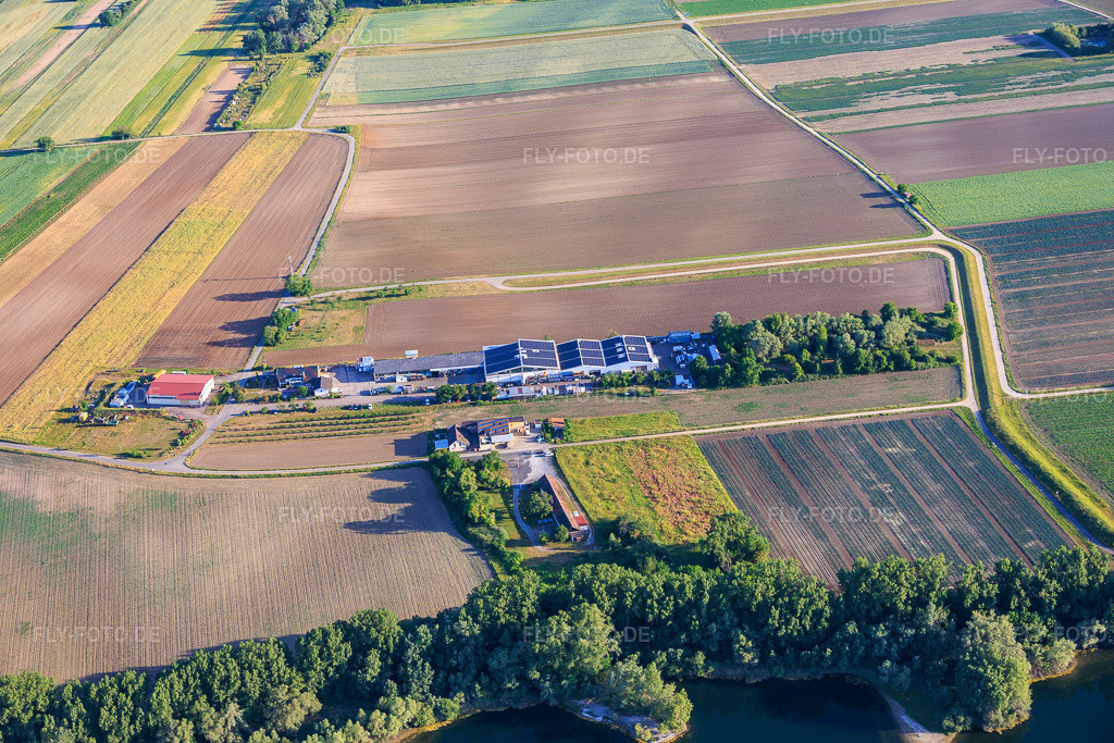 Luftbild: Jesterhof Landwirtschaft Obst und Gemüseanbau, Hofladen, Destillerie, Alte Ziegelei und Gewerbegebiet Rheinfeldstraße mit Celsa Messgeräte GmbH und Solisation GmbH im Ortsteil Mechtersheim in Römerberg im Bundesland Rheinland-Pfalz in Deutschland.Foto: IMG_156925.jpg vom 29.05.2026 durch Werner Riehm/FLY-FOTO.deAuflösung des Originals: 6000 x 4000 pxJesterhofladen – Obst- und Gemüsehandels GdbRWWW.CELSA-MESSGERAETE.DEWWW.SOLISATION.DE