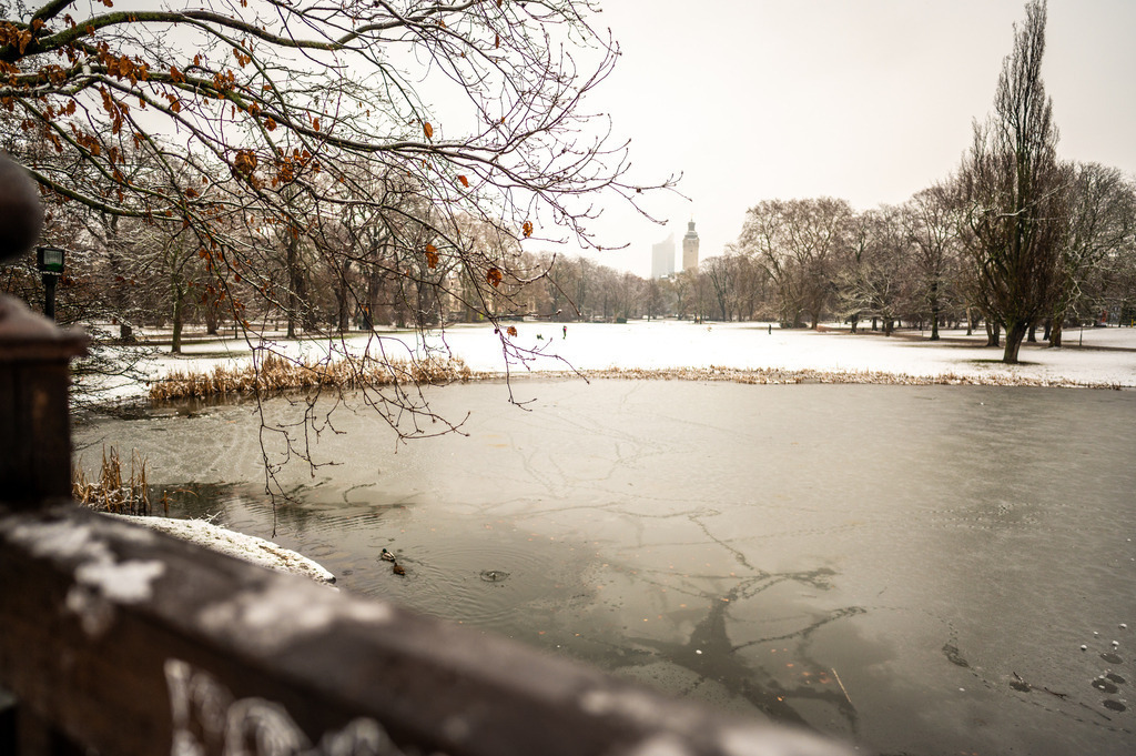 Johanna Park Leipzig | Winter im Johanna Park Leipzig - Realisiert mit Pictrs.com
